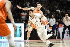 Laga Terakhir Babak Reguler IBL antara Dewa United vs Pelita Jaya Jadi Penentu Puncak Klasemen