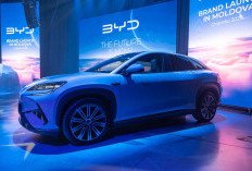 Dahsyat! Penjualan BYD di Inggris Melonjak 880 Persen