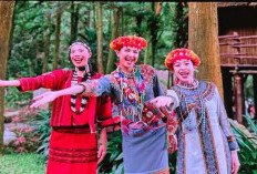 Mengungkap Empat Hal Penting tentang Keindahan Naga Kecil Asia