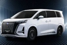  Ini Nih Mobil Mewah Listrik BYD Calon Lawan Alphard, Harga Denza D9 Kacau di Bawah Rp 1 Miliar