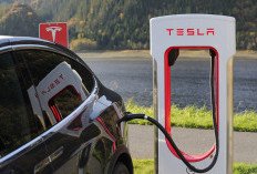 Intip Penampakan Tesla Model Y Juniper Terungkap Saat Diangkut di Jalanan China