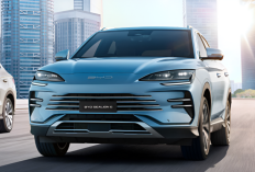 Wuih, BYD Sealion 6 Bakal Diekspor ke Jepang pada Januari 2026