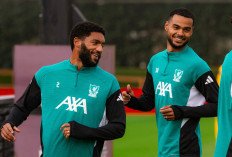 Link Nonton Siaran Langsung Liga Champions: Liverpool vs Atletico Madrid